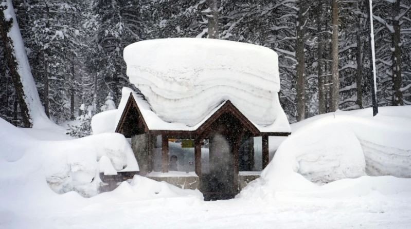 今冬最强冷空气！70%美国人处冰点之下 降雪致交通瘫痪