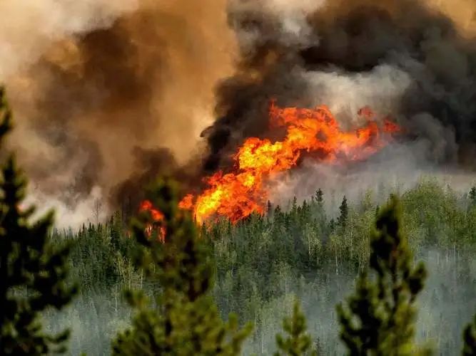 加拿大百余起野火肆虐 烟雾侵袭美国北部多州