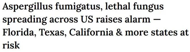 致命真菌席卷全美！ 这几个州是高风险感染区