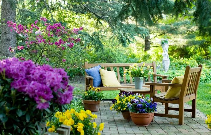 美国多州严禁种植12种常见花草，园艺爱好者须防触法