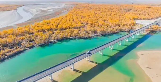 【阿克苏行】沙雅胡杨，生命铸就的生态奇观