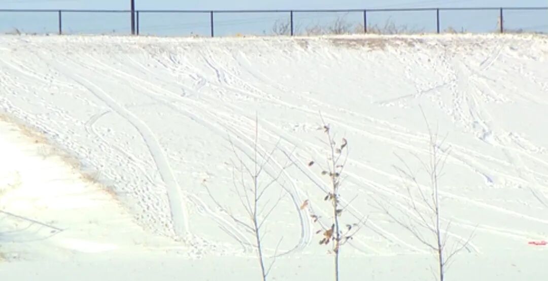 美国迎入冬最冷一周 9000万人处于冰冻预警之下