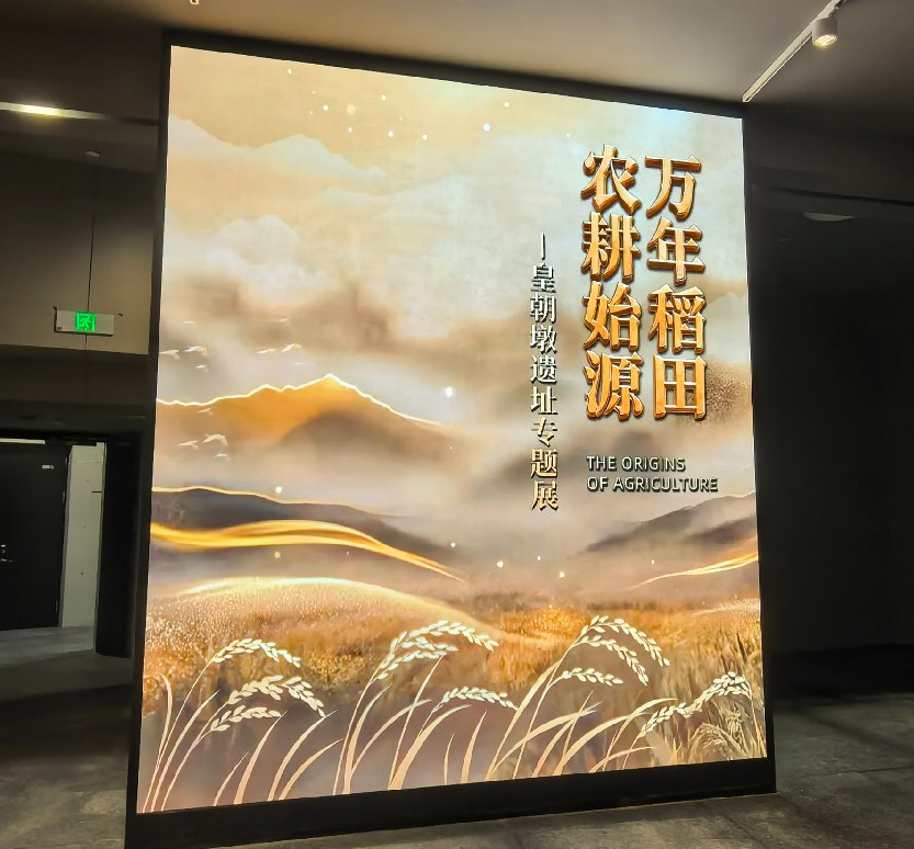 穿越万年稻香，触摸农耕文明的温暖底色